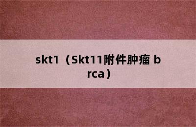 skt1（Skt11附件肿瘤 brca）